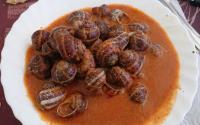 Escargots à la sauce Catalane