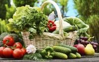 Eté : quels sont les fruits et légumes de saison ?