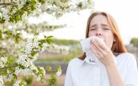 Calmez vos crises d'allergies avec ces aliments magiques !