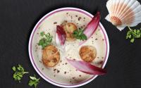 10 idées de recettes à faire avec des endives