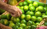 Leclerc, Carrefour, Intermarché : plusieurs enseignes décident de rappeler ces citrons qui contiennent un taux élevé de pesticides !