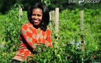 Nous voilà rassurés sur le potager de Michelle Obama