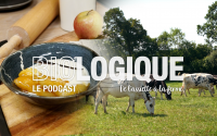 Hervé Cuisine et Amina dévoilent les secrets de la production laitière bio à travers un podcast inédit