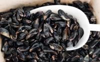 Alerte rappel produit : si vous avez acheté ces moules en supermarché, ne les consommez surtout pas