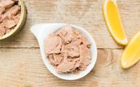 Nos meilleures recettes avec une boîte de thon pour l’apéritif !