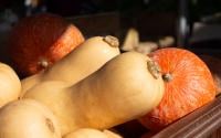 Potimarron ou butternut : quelle courge est la plus intéressante pour la santé ?