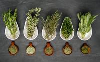 Fraîches ou séchées : comment bien choisir ses herbes aromatiques pour ne pas ruiner sa recette