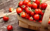 Pourquoi est-il préférable de manger des tomates cerises plutôt que des grosses, selon cette diététicienne ?