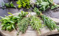 Voici une astuce parfaite pour conserver les herbes aromatiques plus longtemps