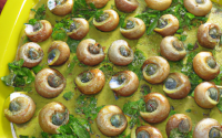 Escargot à la thièrachienne en robe des champs