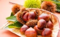 Comment bien faire la différence entre les châtaignes et les marrons ?