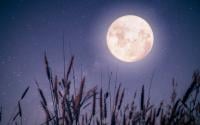 Comment fonctionne le régime spécial pleine lune ?