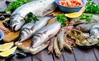 Quels sont les poissons de saison en hiver ?