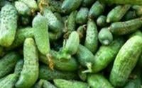 Comment préparer des cornichons ?