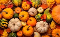 Quels fruits et légumes manger au mois de novembre ?