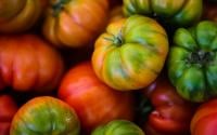 "Il existe des tomates qui poussent en hiver" : découvrez cette variété à déguster pour la saison !