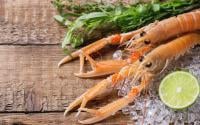 Comment réussir la cuisson des langoustines ?