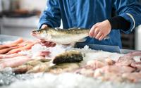 Poissons durables : voici les espèces moins connues à privilégier pour préserver l’océan