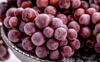 Peut-on congeler du raisin pour en profiter le reste de l’année ?