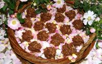 Roses des sables pour enfant