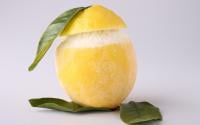 "Envie d'une pause fraîche et gourmande ?" : une diététicienne partage sa recette de citron givré maison, parfaite pour la saison estivale !