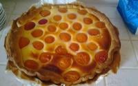 Tarte abricots et fromage blanc