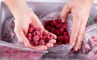 Abricot, melon, framboise : voici tous les secrets pour congeler vos fruits d’été et les conserver pendant 12 mois !