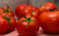 Tomates sans goût ? Ce simple geste suffit à révéler toutes leurs saveurs