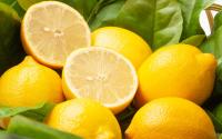 Que faire quand on a trop de citrons ? Nos meilleures astuces anti-gaspi