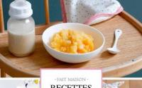 Recettes pour bébés par Laura Annaert