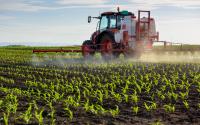 Pesticides dans l’agriculture : à quoi servent-ils ?