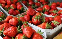 Passer ses fraises sous l’eau ne suffit pas pour éliminer les résidus de pesticides : voici comment faire pour mieux les laver efficacement