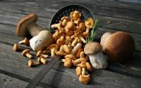 La fraîcheur des champignons dépend de la façon dont vous les conservez, mais aussi de la façon dont vous les manipulez