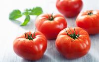 Ce petit détail qu’il faut regarder pour vérifier la fraîcheur d’une tomate avant de l’acheter