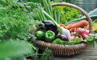 Vous épluchez toujours ce légume ? C’est une erreur d’après une diététicienne, vous passez à côté de nombreux bienfaits !