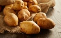 Voici la meilleure façon d’empêcher les pommes de terre de germer, et c’est la science qui le dit