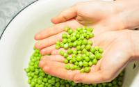 Voici les 4 avantages à manger régulièrement des petits-pois surgelés selon ce gastro-entérologue