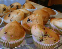 Muffins nature
