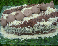 Ma Bûche Concorde
