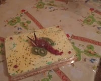 Aumonières de Saint Jacques