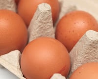 Peut-on congeler les œufs ? Oui, mais une experte dévoile les pièges à éviter pour ne pas se rendre malade !