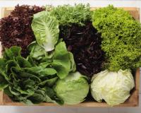 Voici les 3 variétés de salades les plus riches en nutriments à privilégier