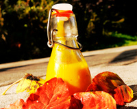 Velouté de potimarron classique