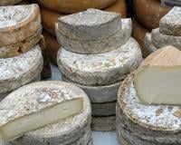 Rappel de fromages : ce Saint-Nectaire doit doit être rapporté de toute urgence