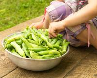 Que faire avec des cosses de petits pois ?