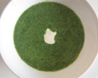 Crème de cresson