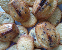 Madeleines aux pépites de chocolat
