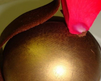 Passion chocolat ...