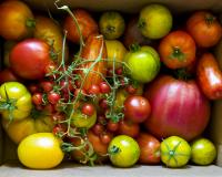 On profite des dernières tomates de saison avec ces idées