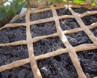 Tarte aux pruneaux de l'Ile d'Yeu